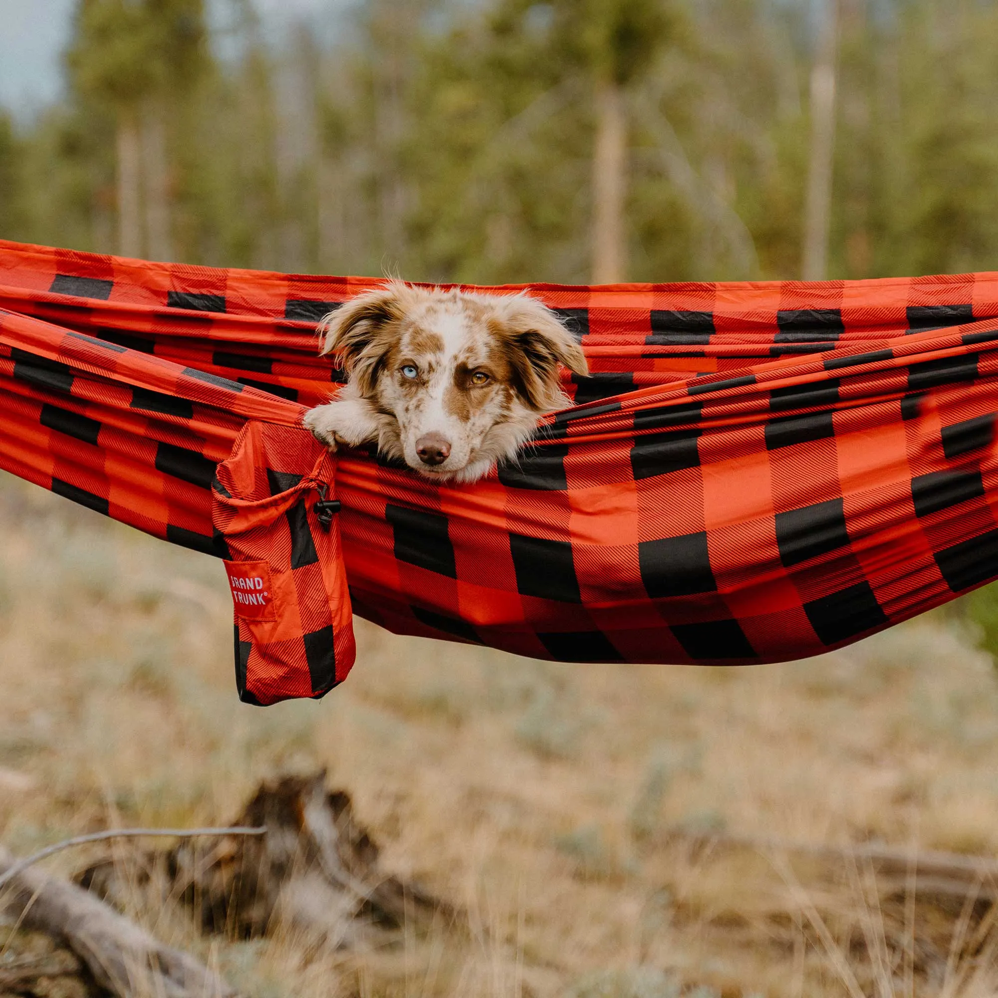 Double Deluxe Hammock with Suspension Straps | Prints