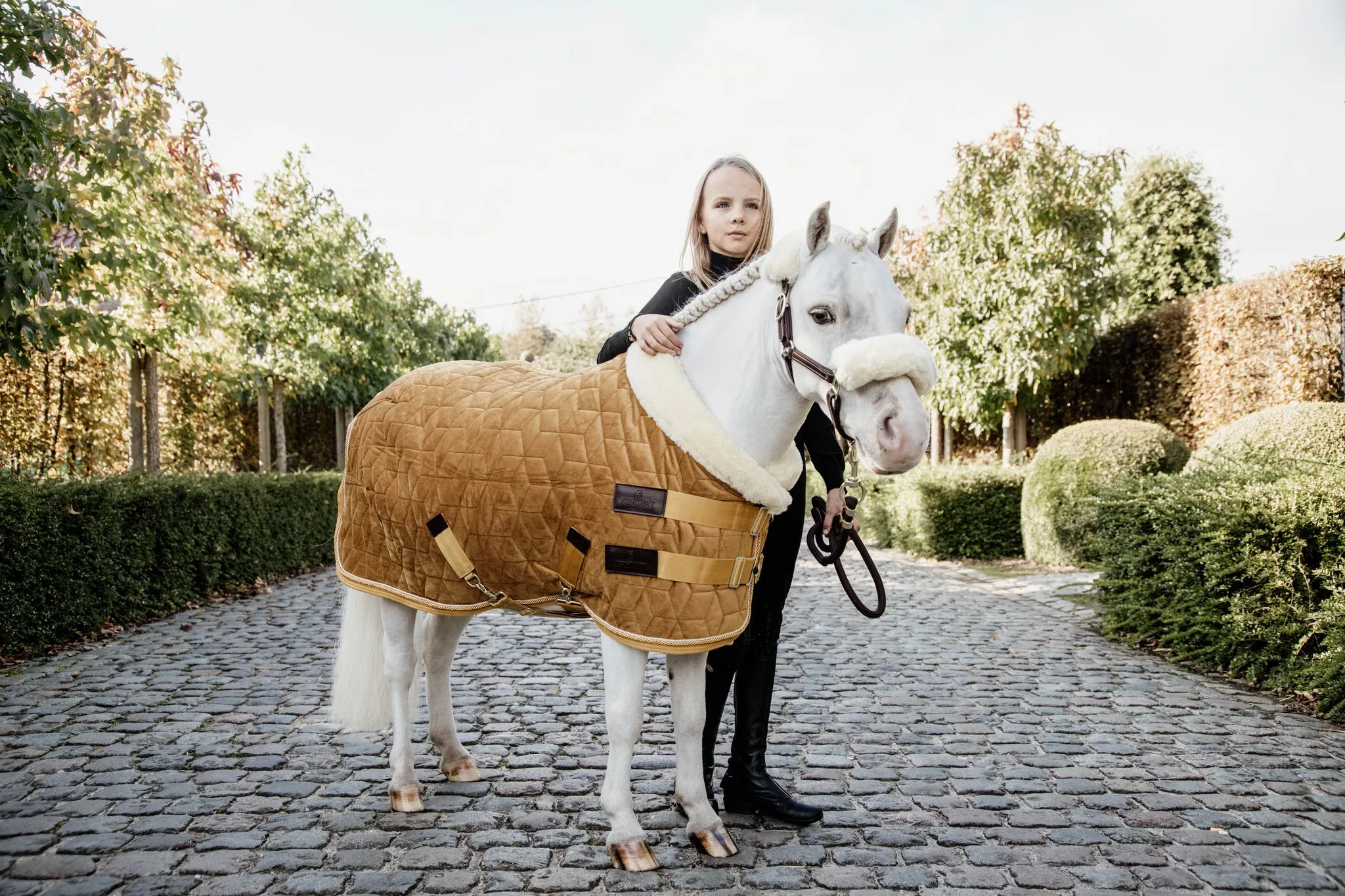Show Rug Velvet Mustard Tiny